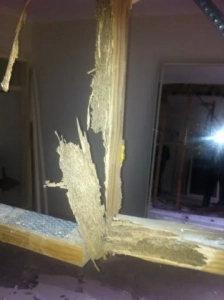 Termite Damage on Wooden Frame