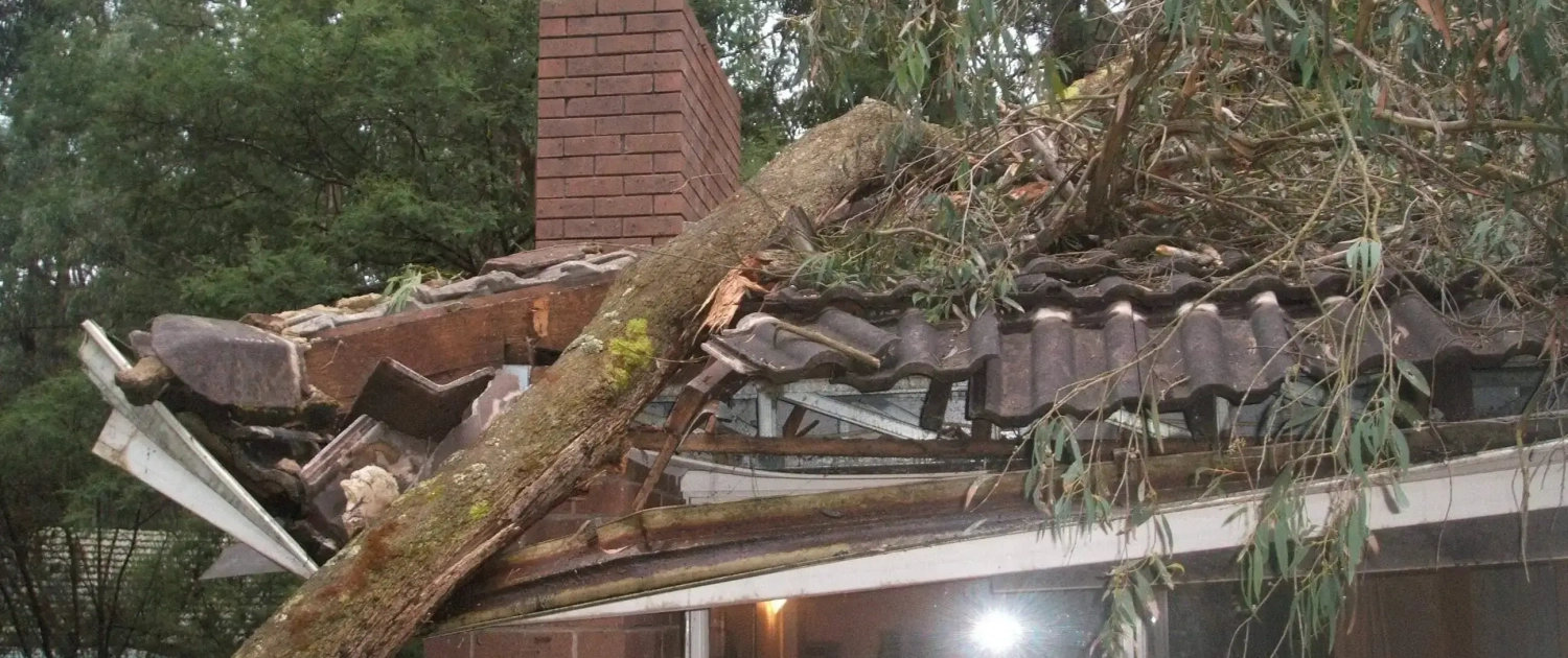 Large Tree Falls on the Roof