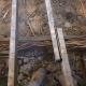 Termite damage